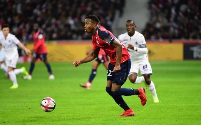 手选择的极 手选择的极