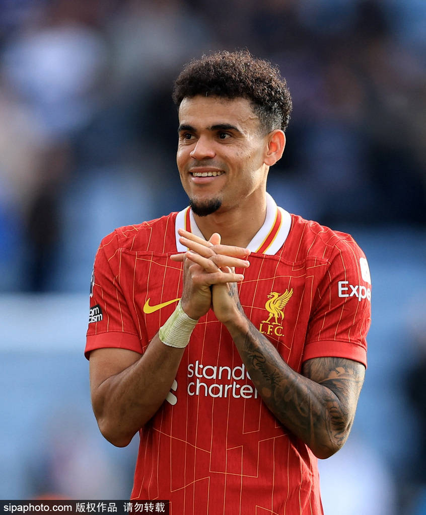 未来展望 未来展望