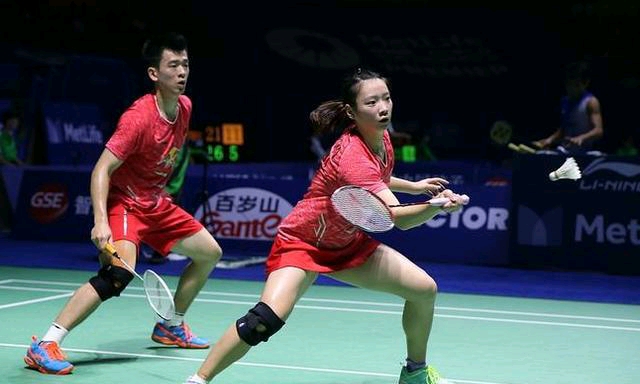 罗迪翁的极 罗迪翁的极